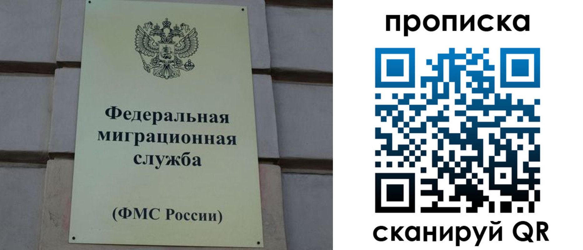 прописка поиск в Раменском